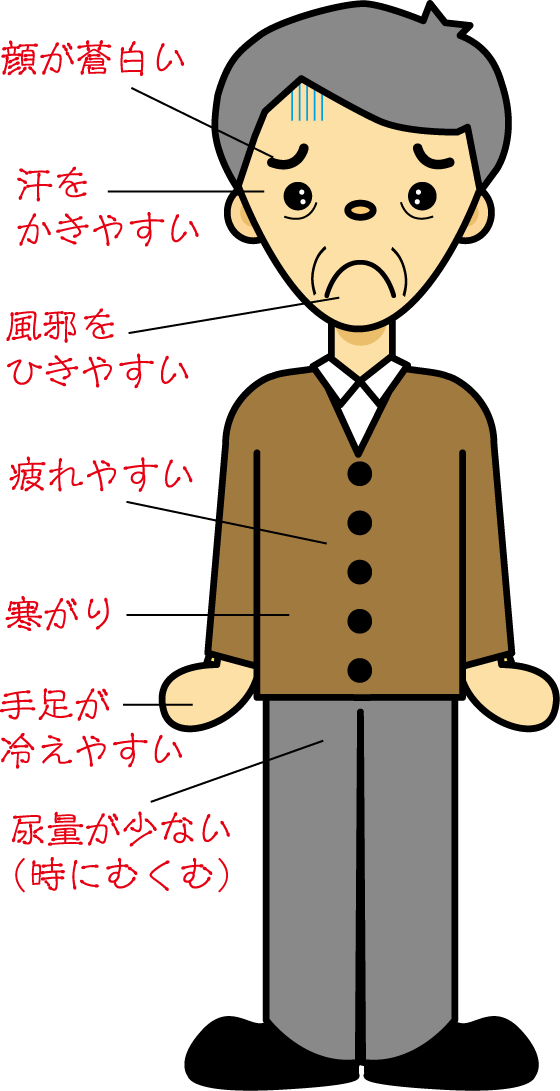 玉屏風散適応症