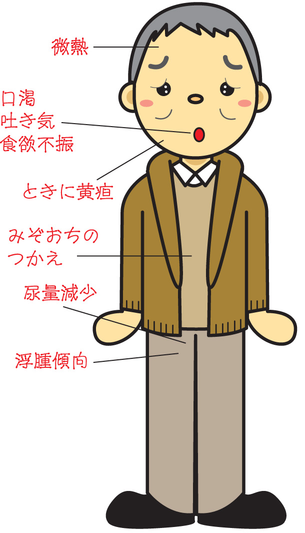 茵蔯五苓散適応症