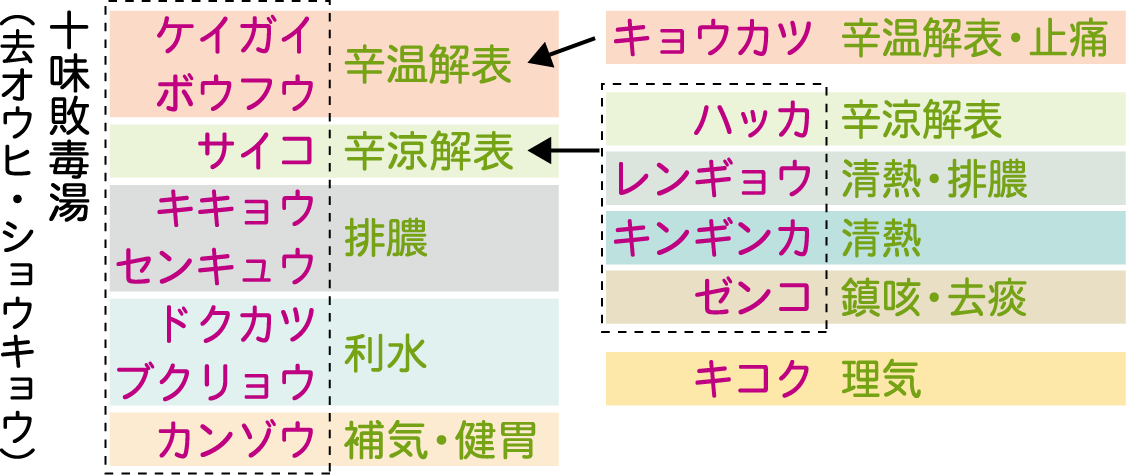 荊防敗毒散生薬構成
