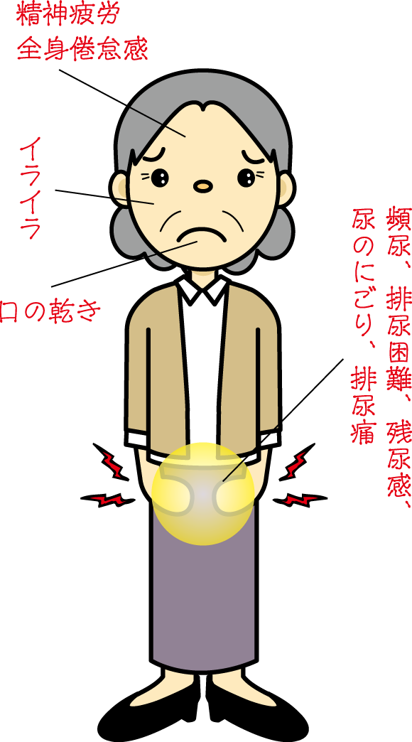 清心蓮子飲適応症