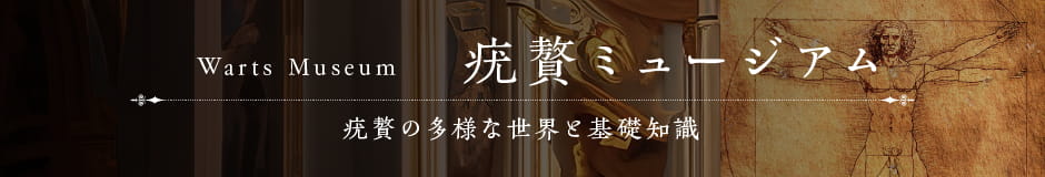 疣贅ミュージアム